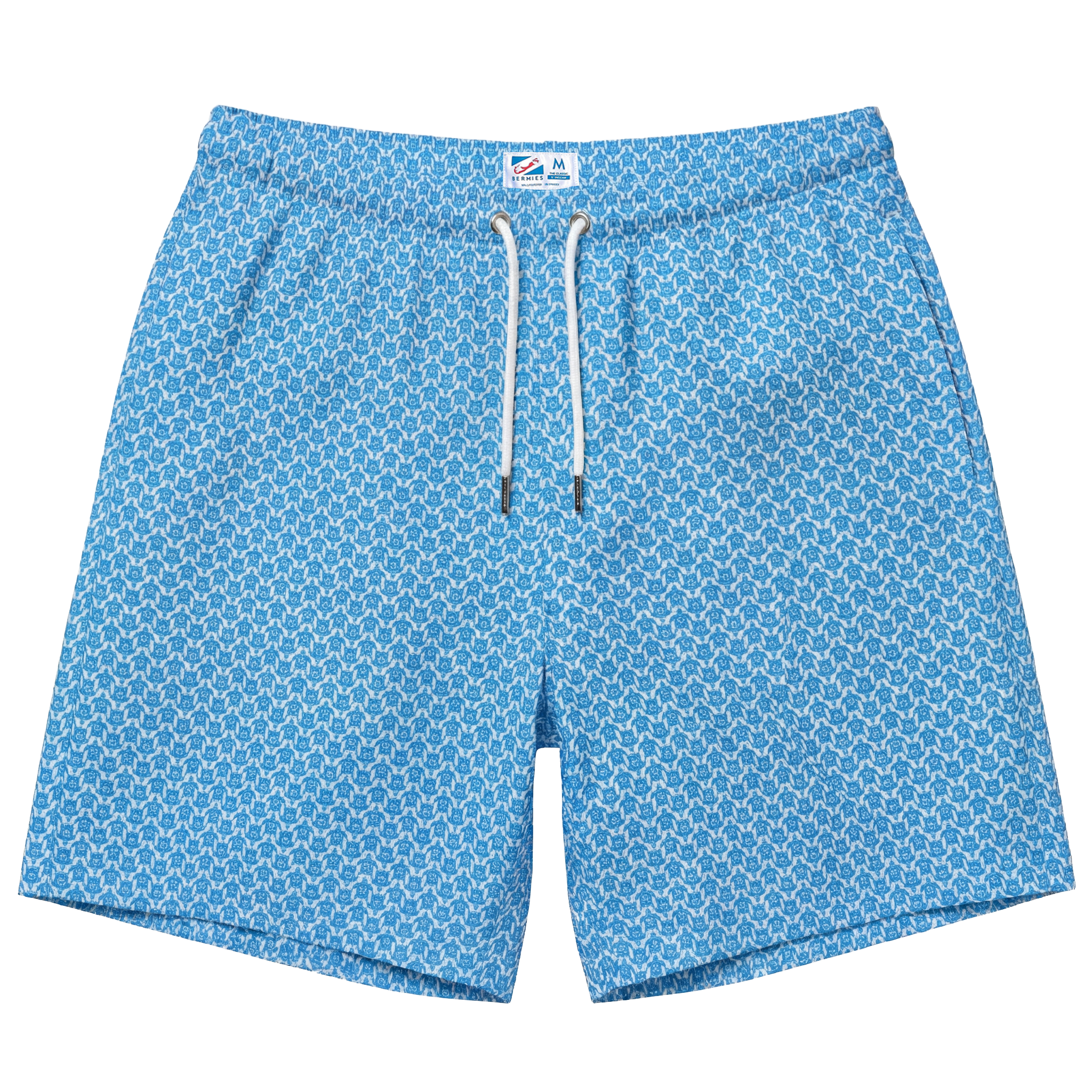  Turtle Blue